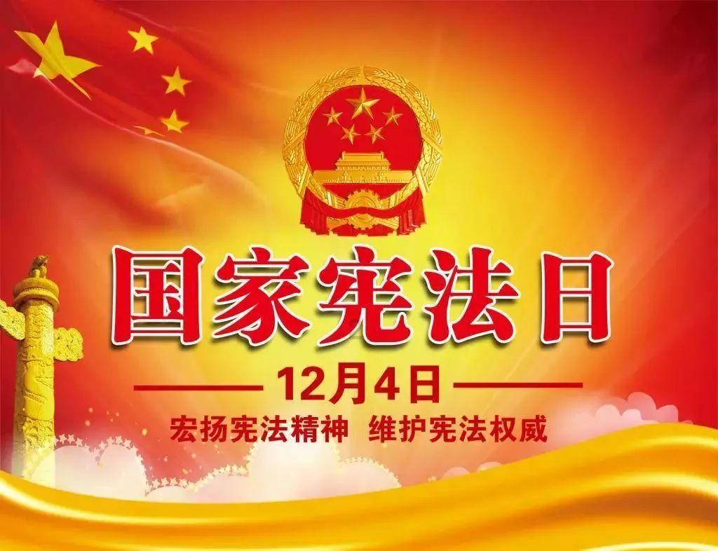 拯救毛茸茸男人